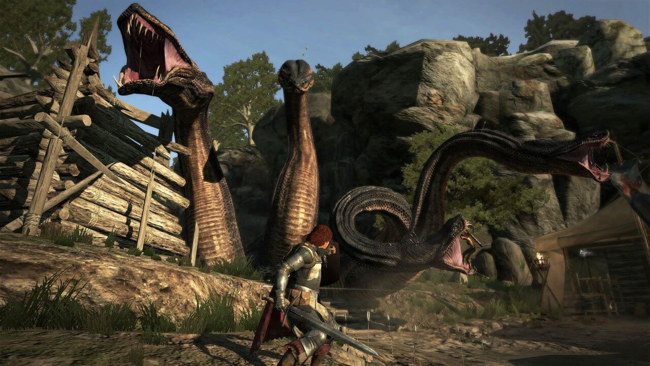 Dragons Dogma