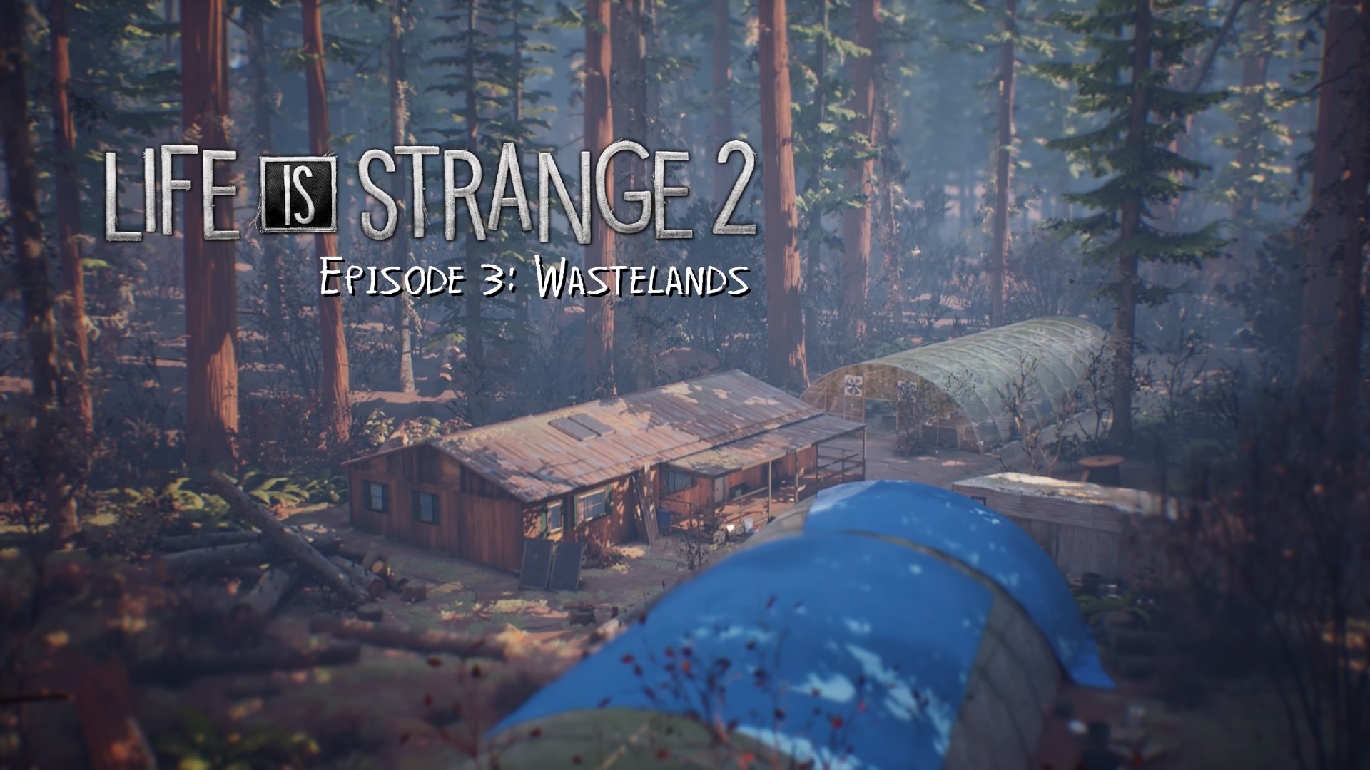 life is strange 2 release date download free